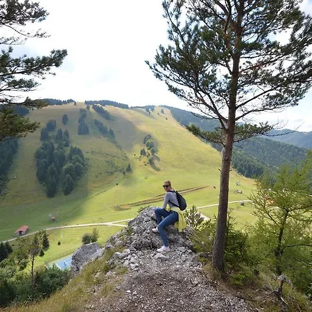 Fatrapark House 2 3*